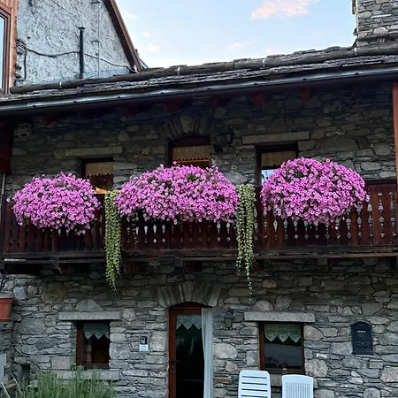 Le Jardin Cir Vda 0009